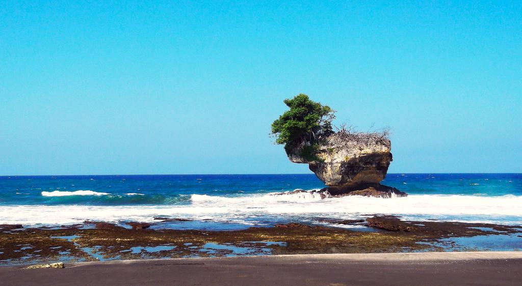 Ragha Homestay Batukaras Dış mekan fotoğraf